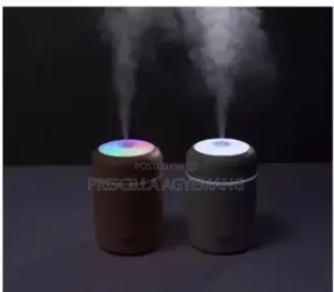 Mini Diffuser and Perfume Oils