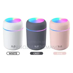 Mini Diffuser and Perfume Oils