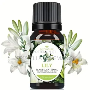 Mini Diffuser and Perfume Oils