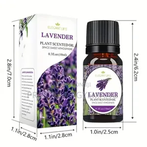 Mini Diffuser and Perfume Oils