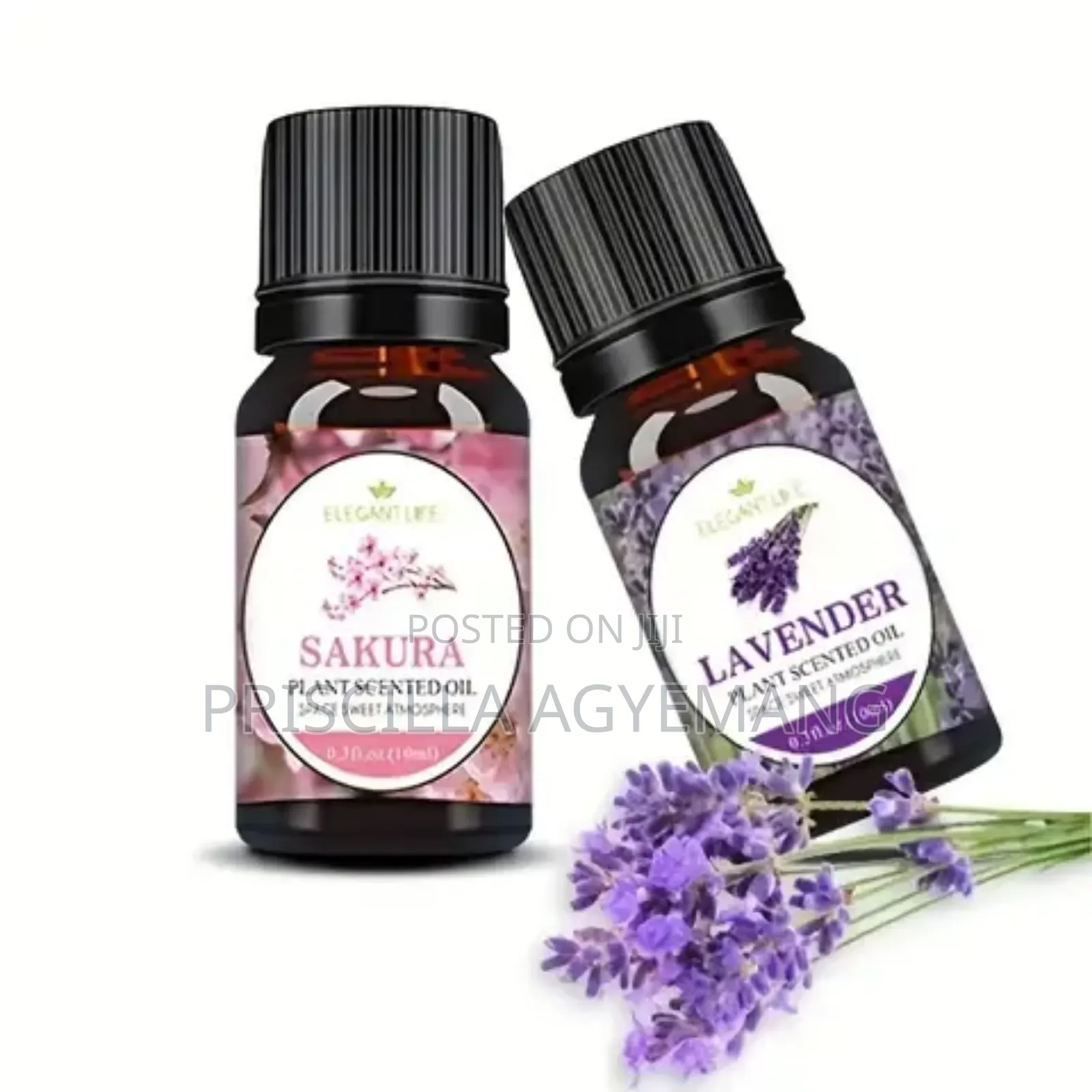 Mini Diffuser and Perfume Oils