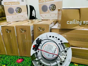 Ceiling Speakers