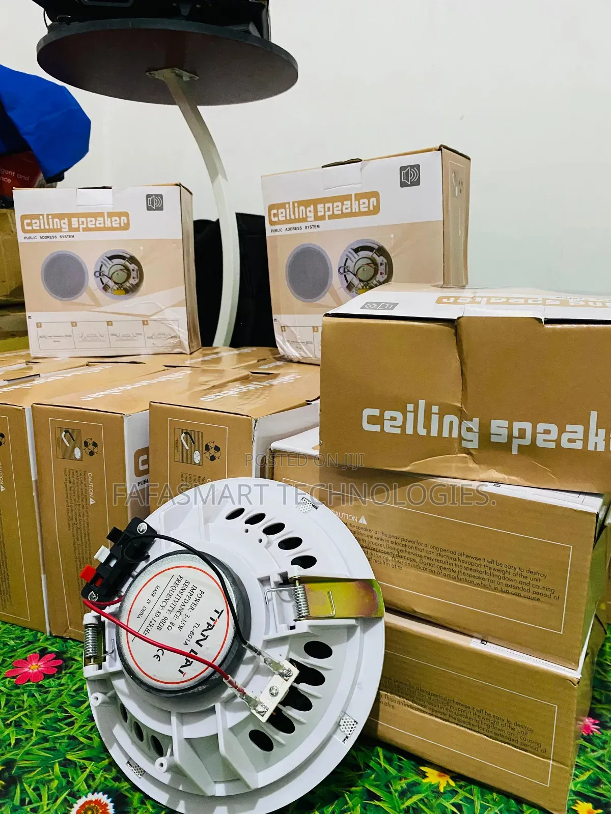 Ceiling Speakers