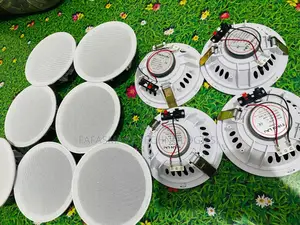 Ceiling Speakers
