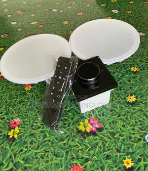 2 Ceiling Speaker + Wall Amplifier