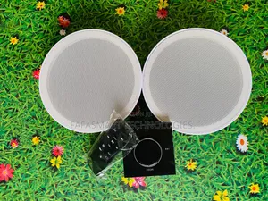 2 Ceiling Speaker + Wall Amplifier
