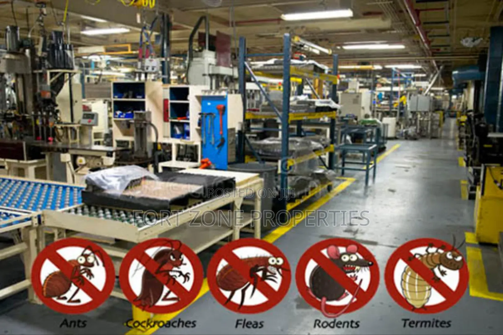 Factory Fumigation in Ghana