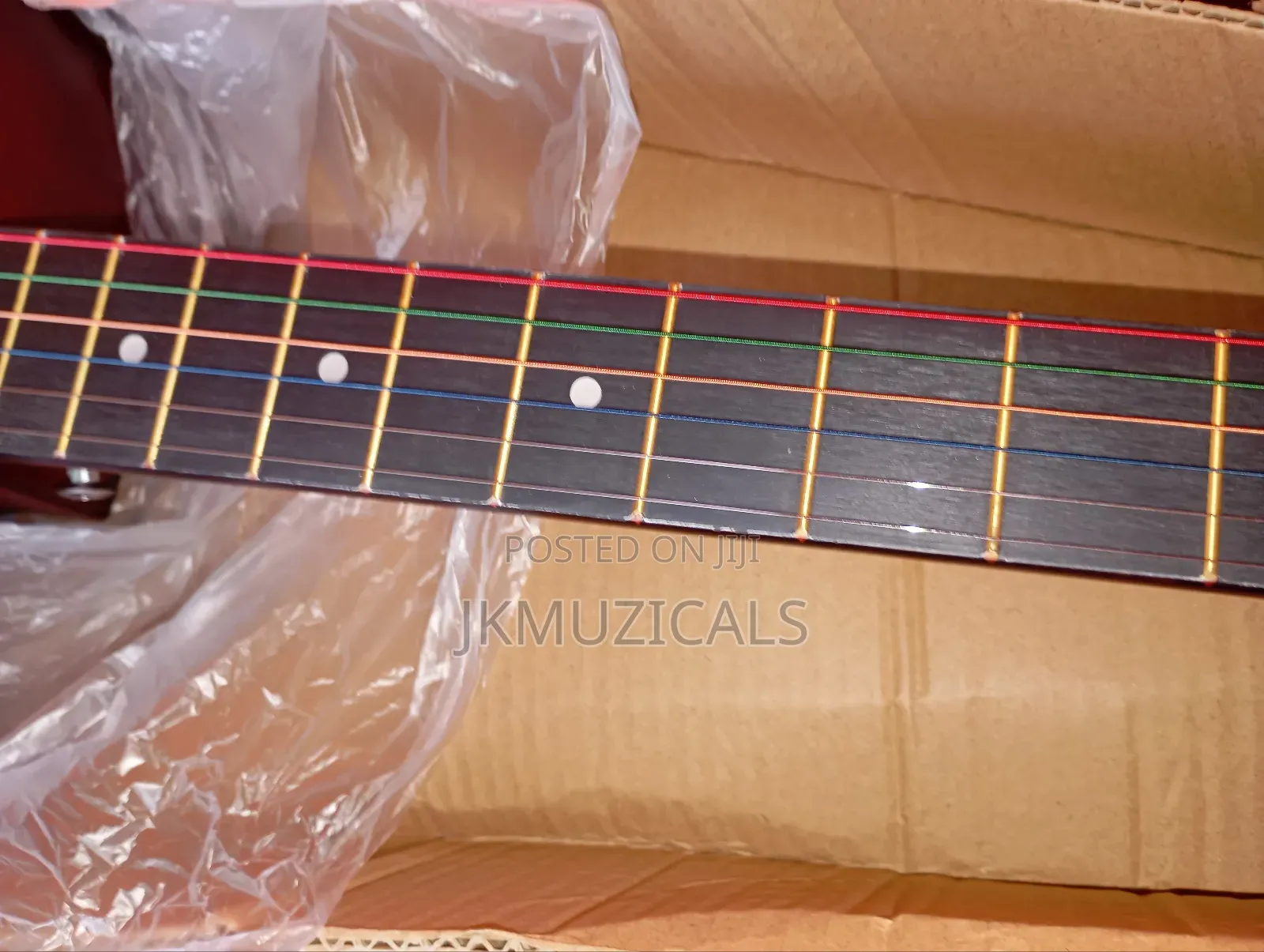 Acoustic Guitar