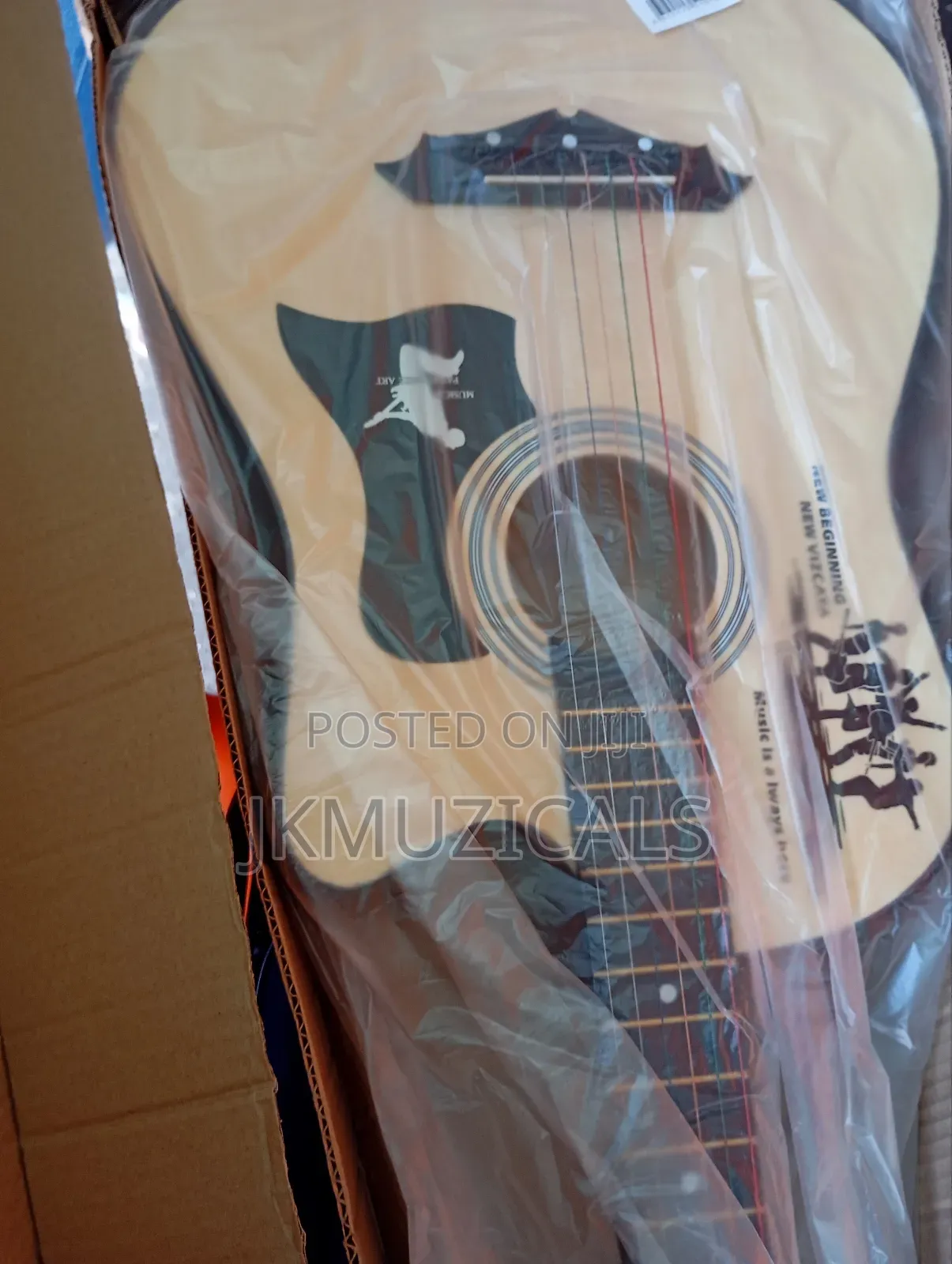 Acoustic Guitar