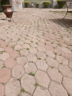 Pavement Mowing