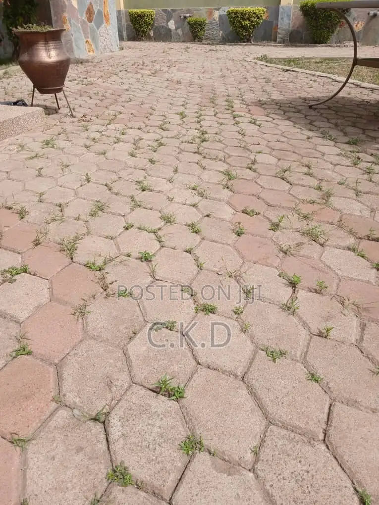 Pavement Mowing