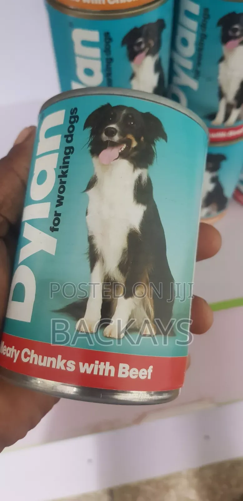 Dylan Meat Chunks in Jelly Dog Food for All Dog Types