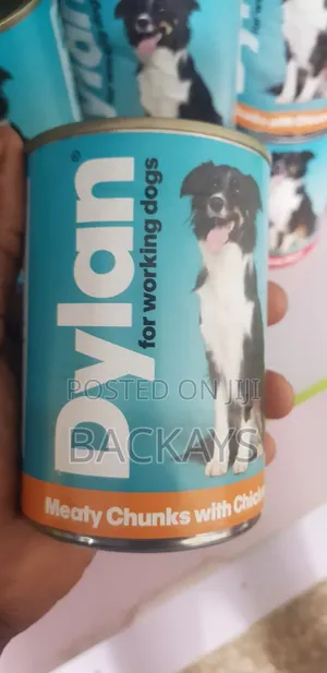 Dylan Meat Chunks in Jelly Dog Food for All Dog Types