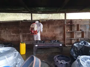 Ward,Hotel,Kitchen,Storage ,Factory,Warehouse Fumigation