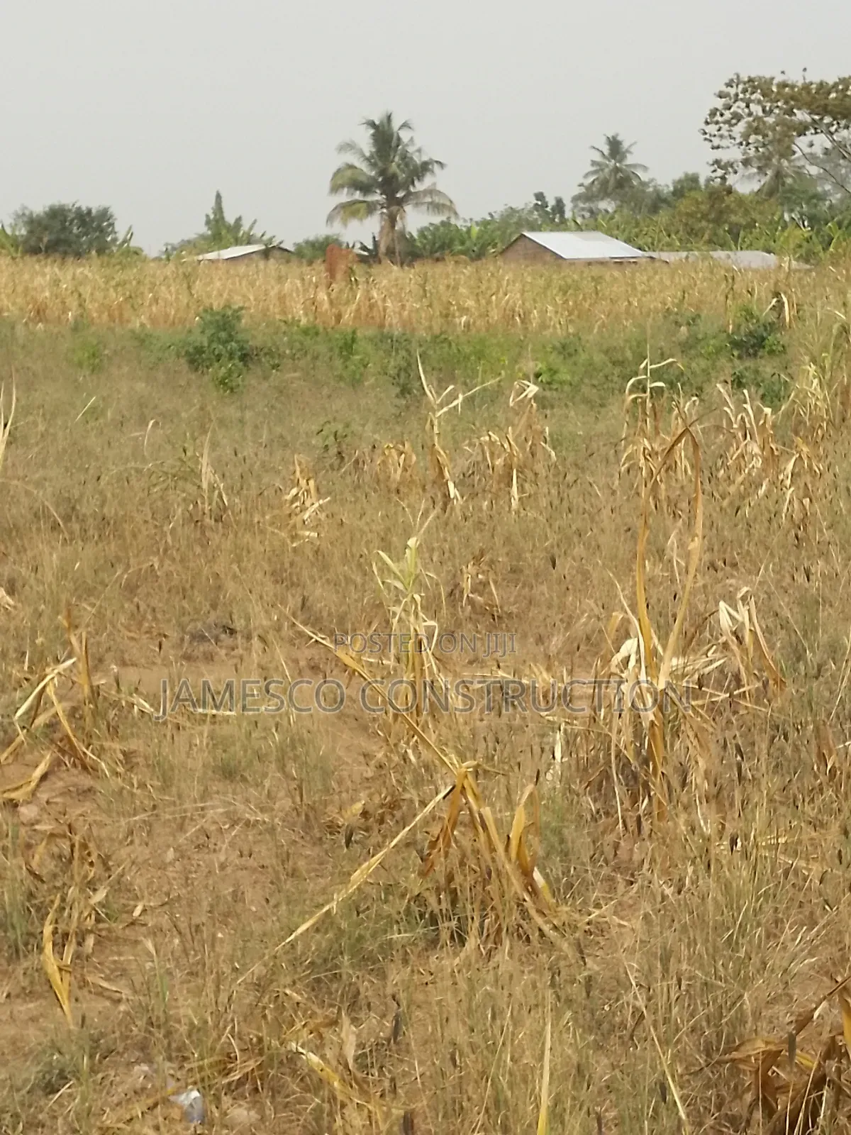 Farmland for Sale