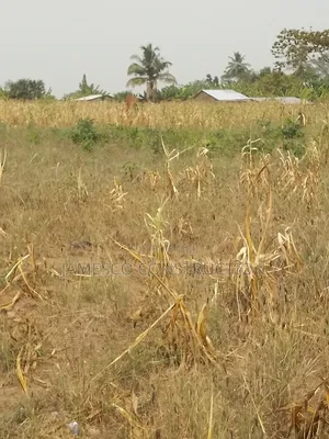 Farmland for Sale