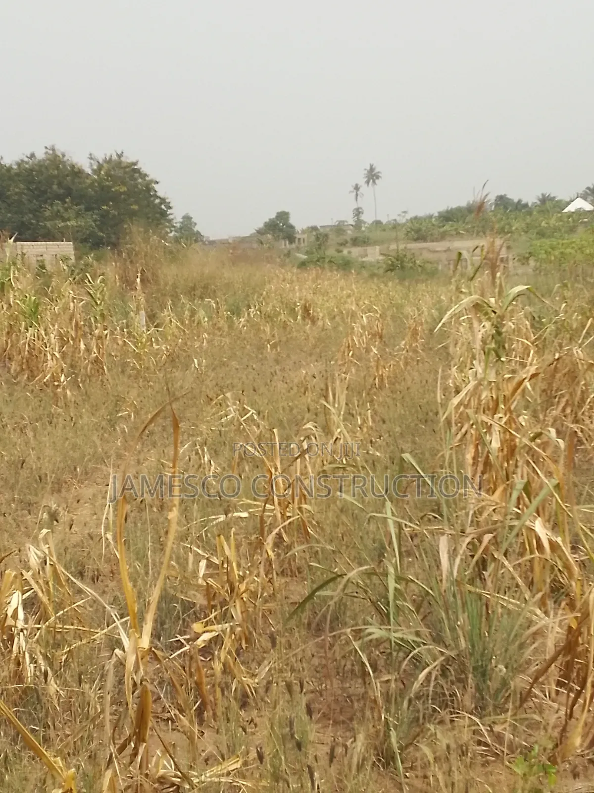 Farmland for Sale