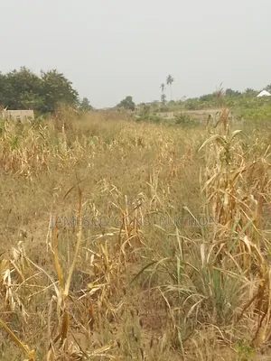 Farmland for Sale