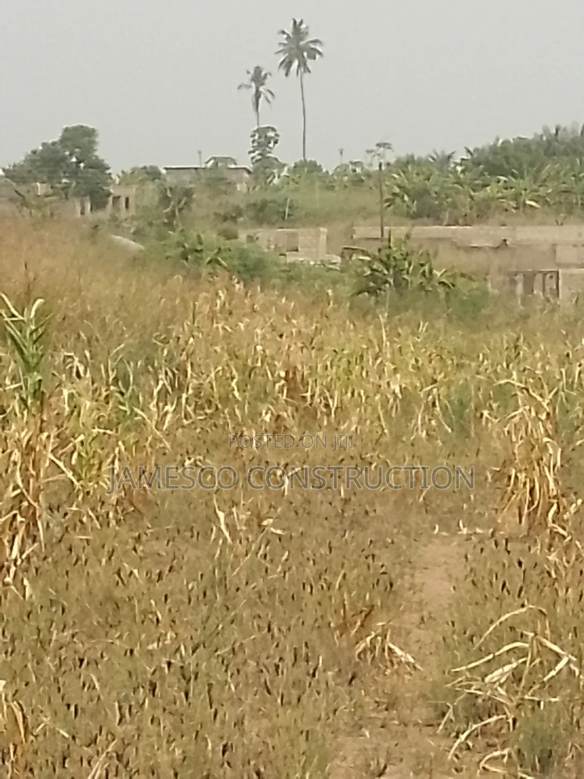 Farmland for Sale