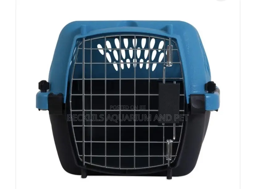 Plastic Dog Crate for Maltese Dogs