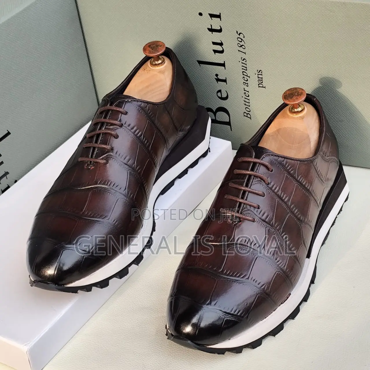 Brown and Black Berluti Shoe