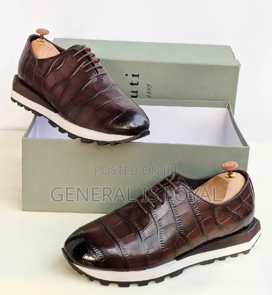 Brown and Black Berluti Shoe