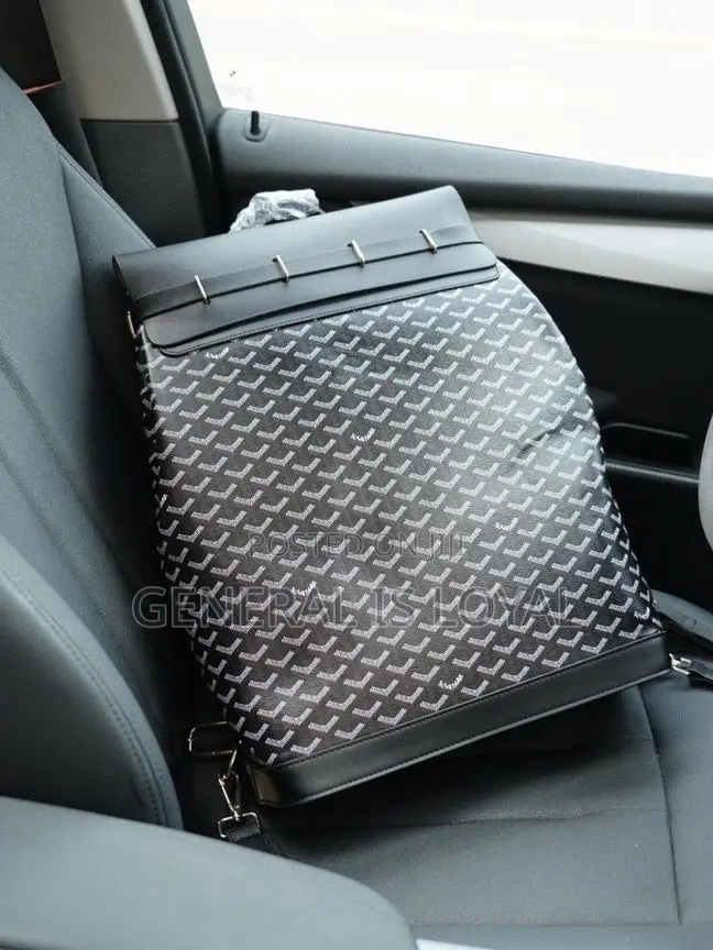 Goyard Backpacks Different Colors