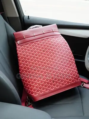 Goyard Backpacks Different Colors