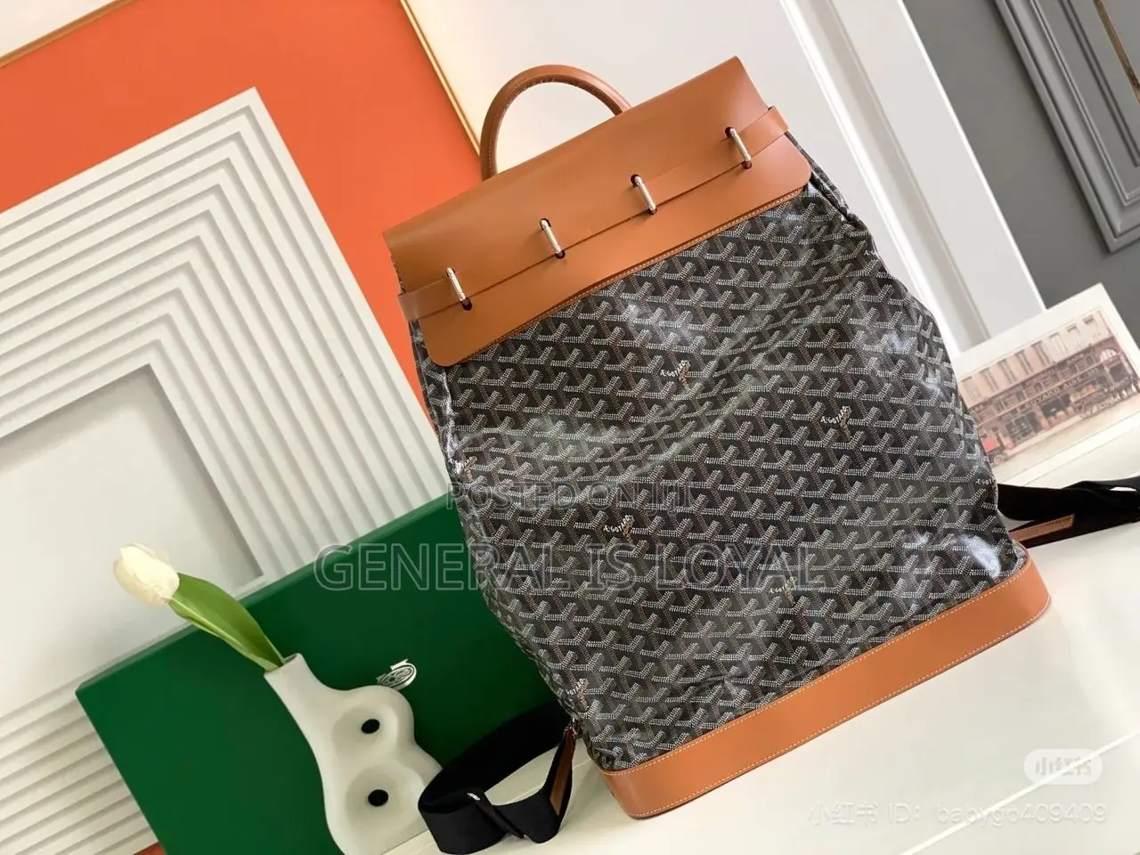 Goyard Backpacks Different Colors