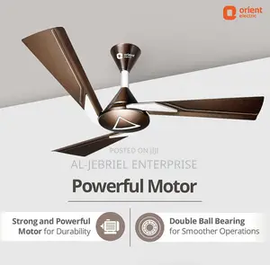 Strong Powerful Motor Orient Ceiling Fan 48”