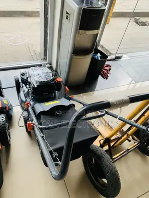 Mostly-Liked Leo Lawn Mower 4.0hp