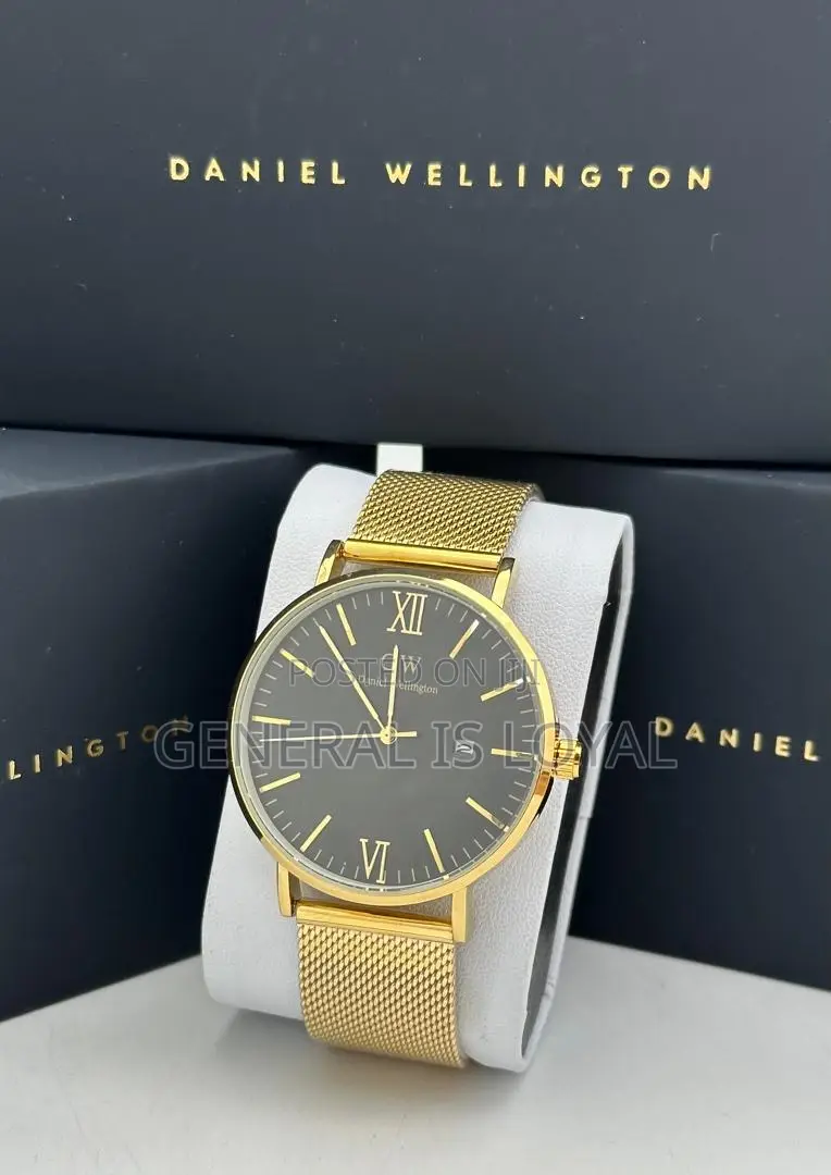 Daniel Wellington / Mesh Stainless