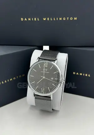 Daniel Wellington / Mesh Stainless