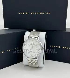 Daniel Wellington / Mesh Stainless