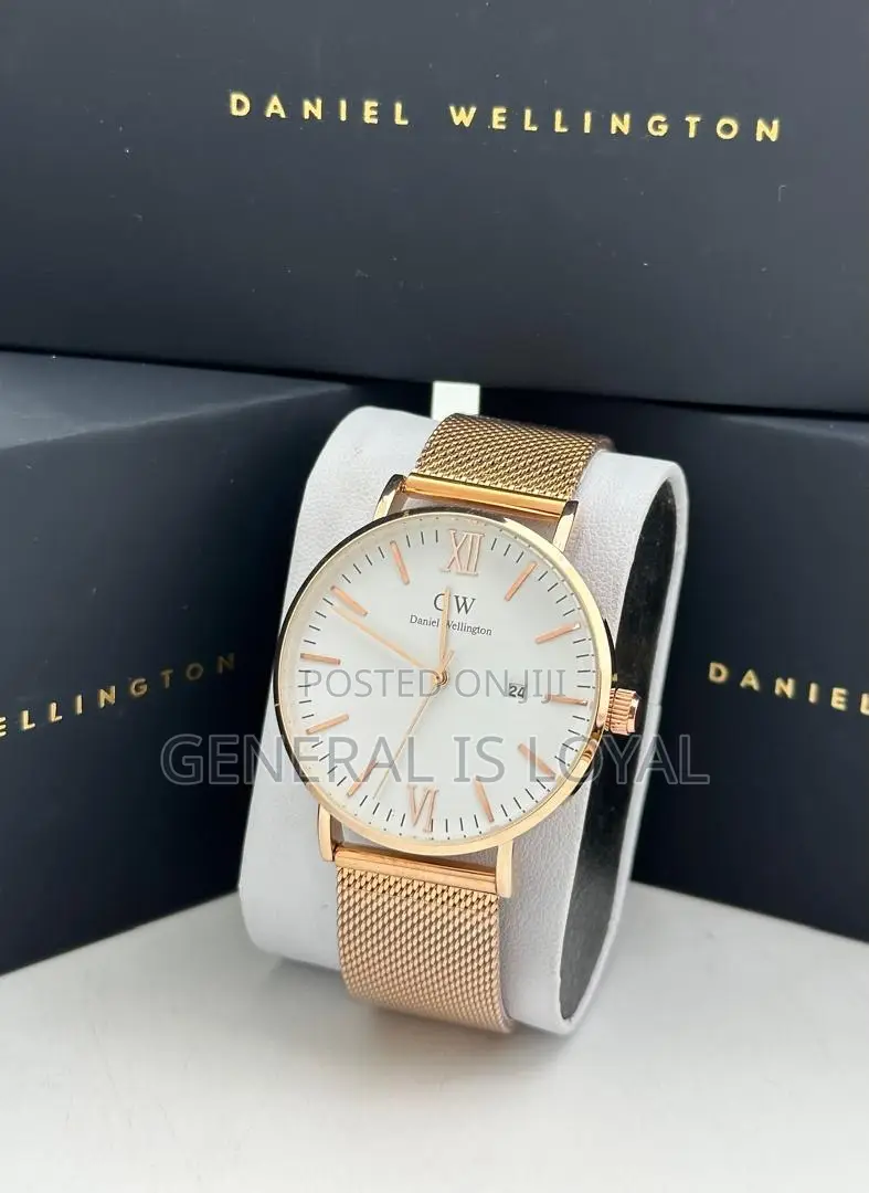 Daniel Wellington / Mesh Stainless