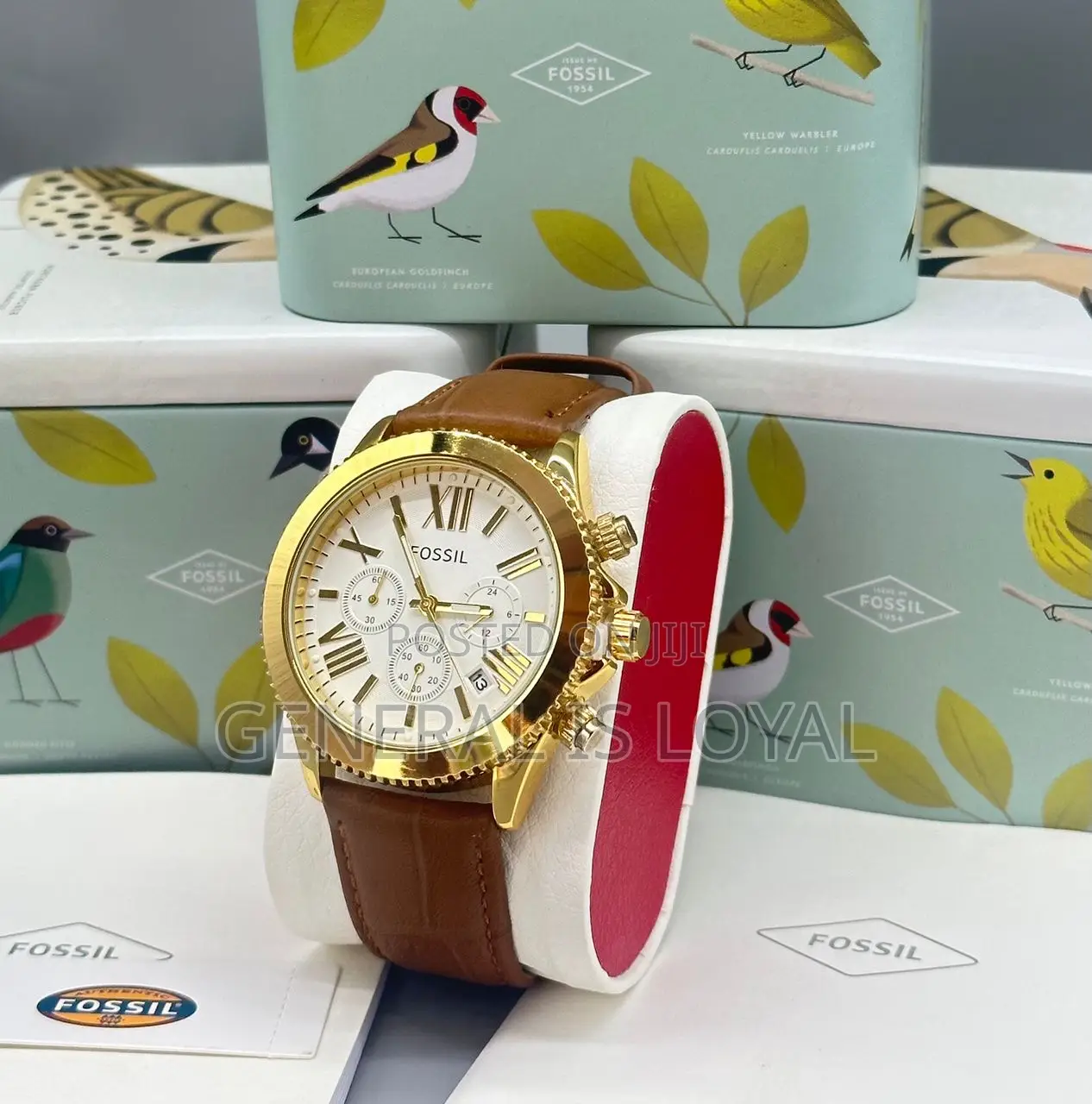 Fossil Leather Watch / Hardest Screen