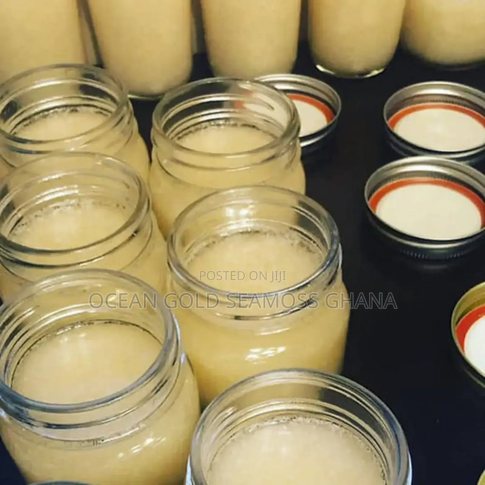 Occean Gold Sea Moss Gel