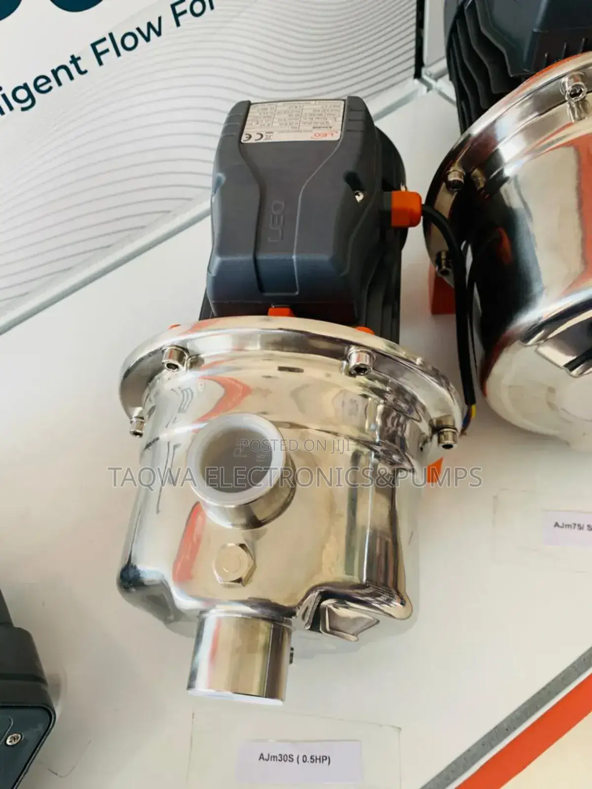 Electric Leo Water Pump 0.5hp