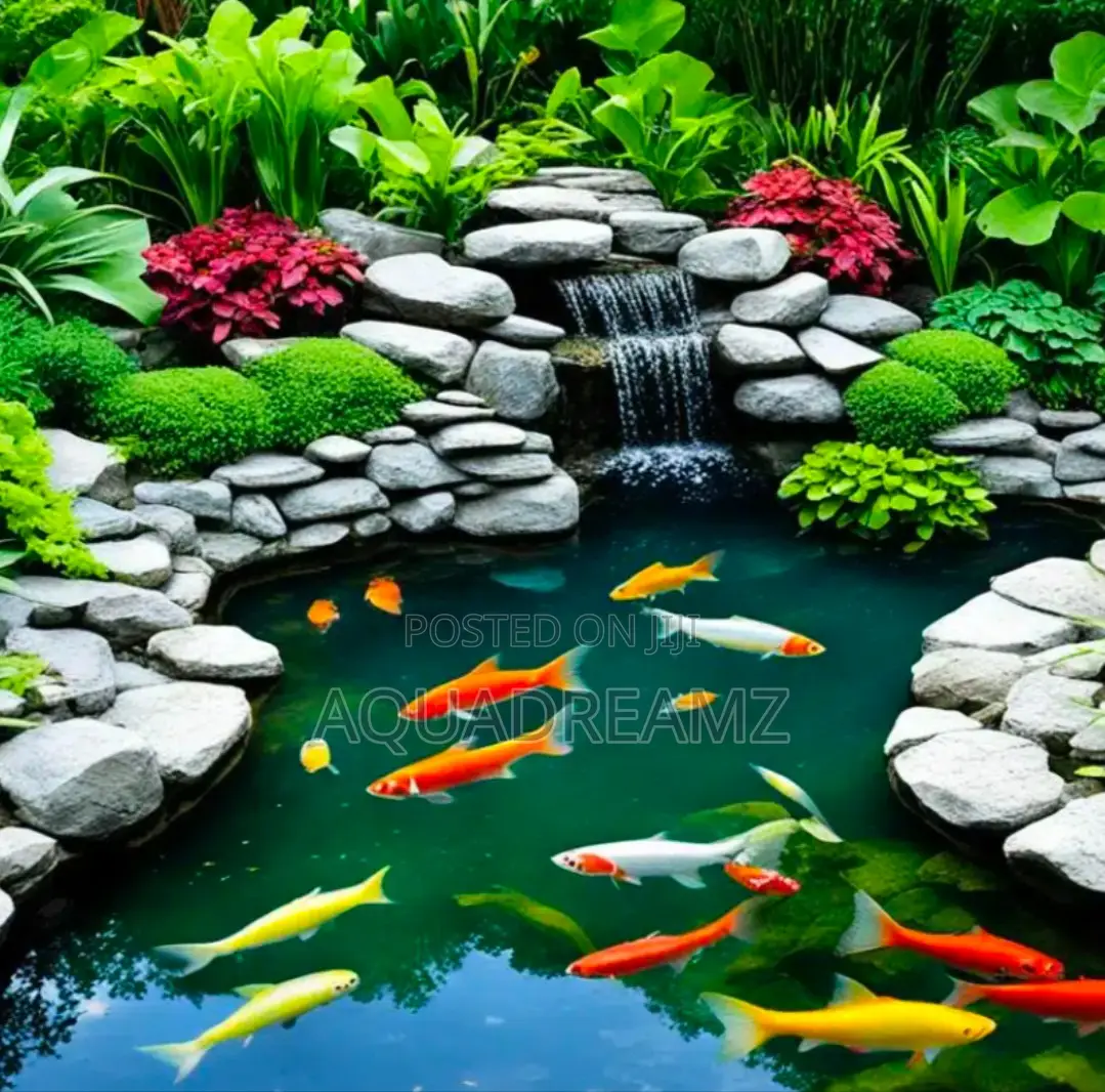 Pond Construction