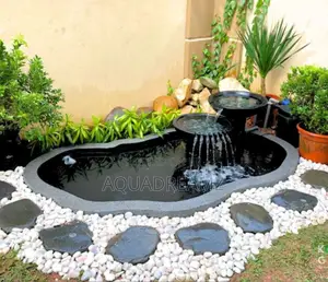 Pond Construction