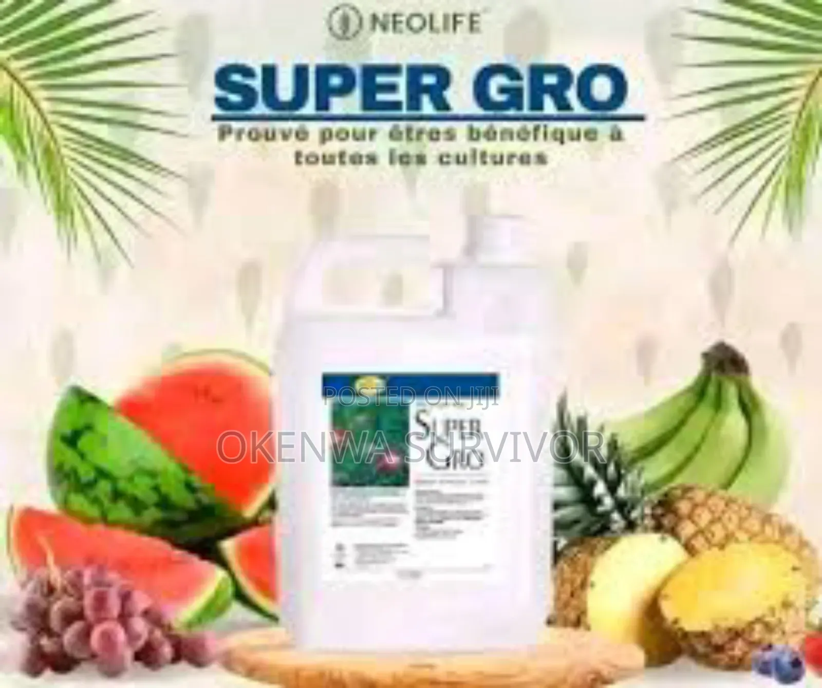 Perfect Wonder Drop Super Gro for Fruits and Cocoa