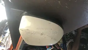 BMW X Series (X5) Side Mirror