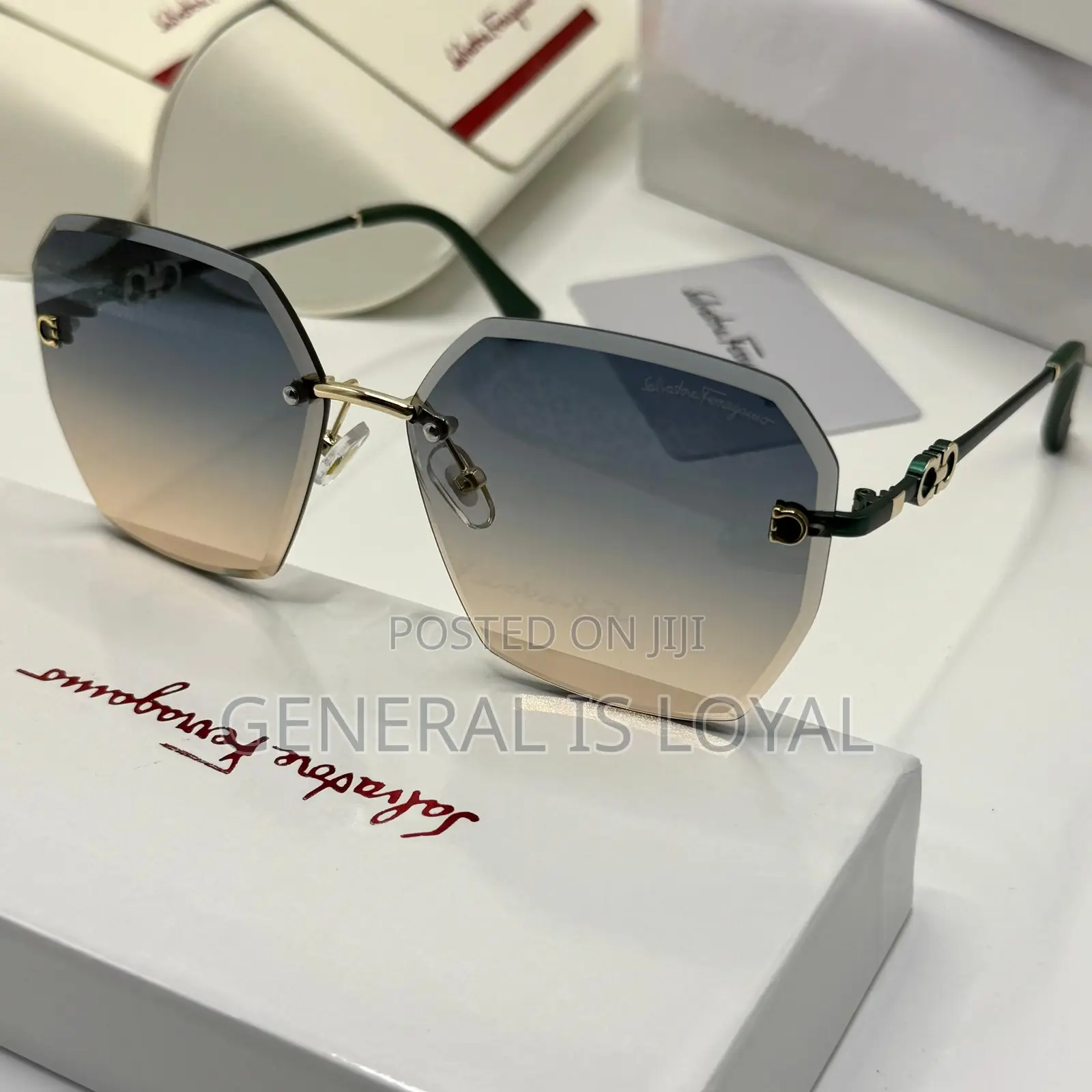 Ferragamo Women/Ladies Glasses