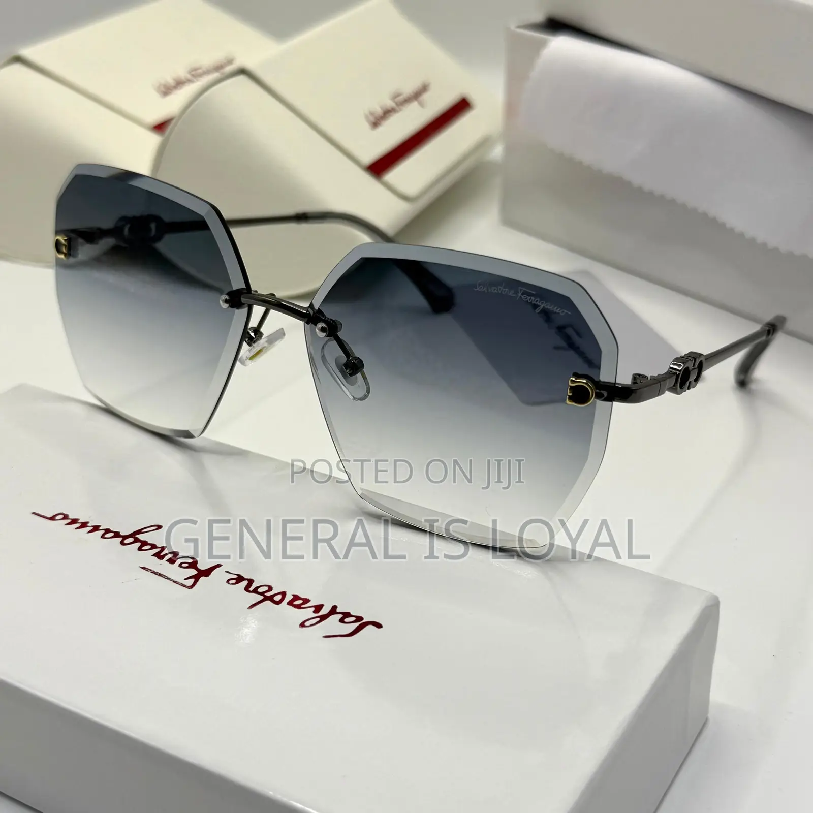 Ferragamo Women/Ladies Glasses