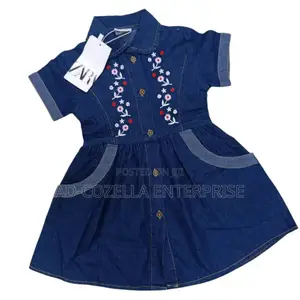 Mini Zara Denim Dress