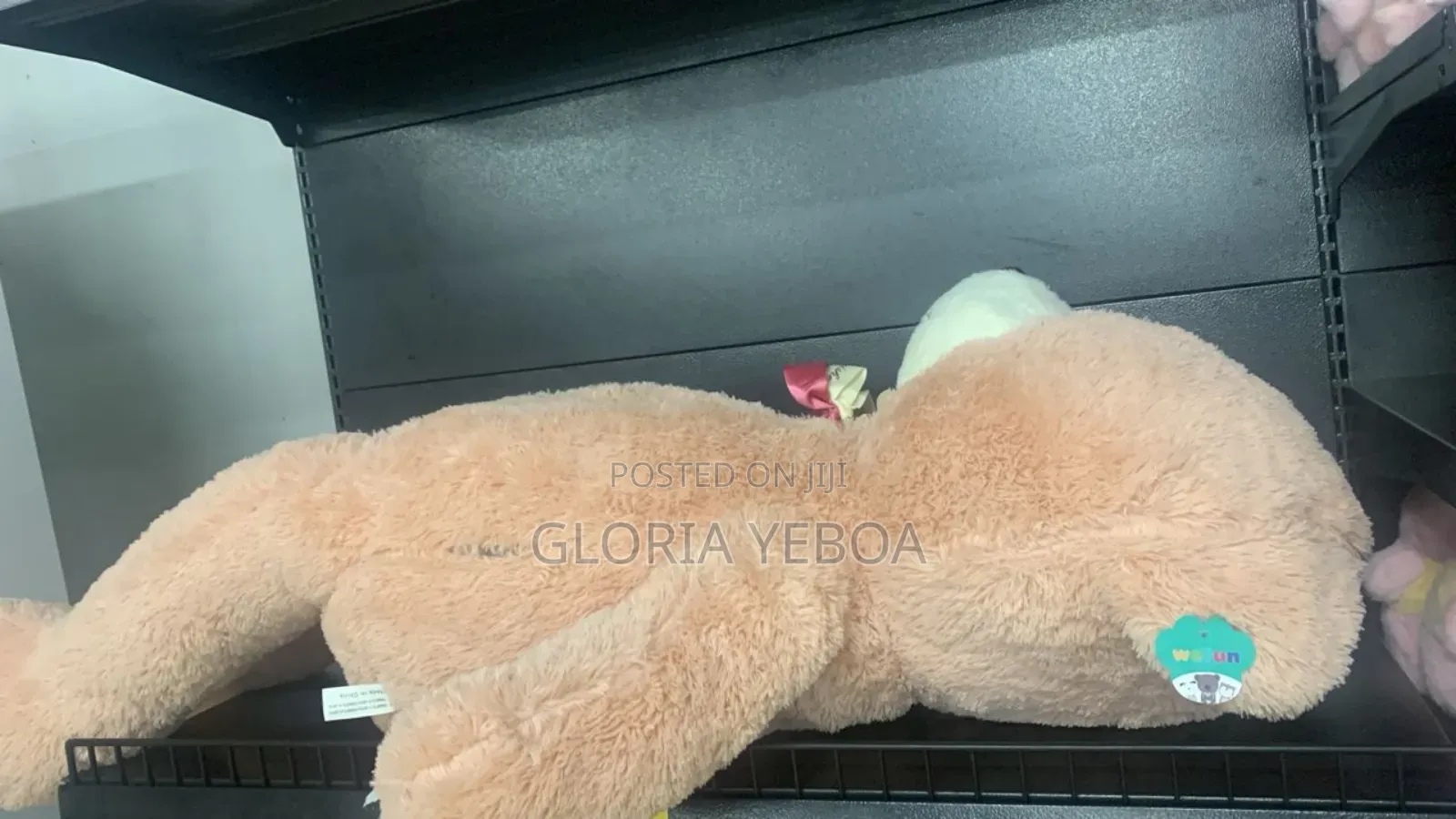 Teddy Bear