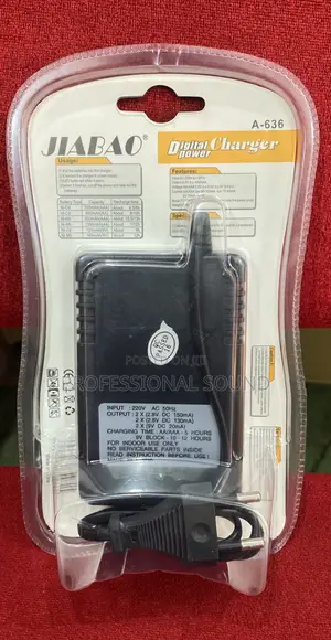 JIABAO Battery Charger