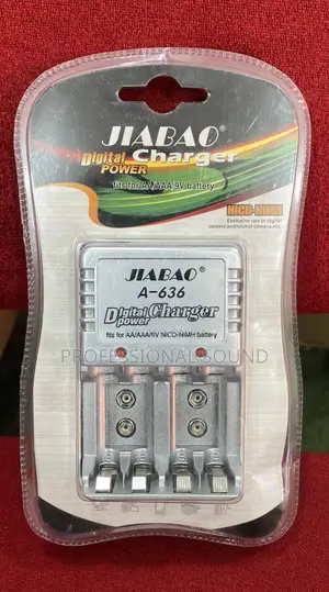 JIABAO Battery Charger
