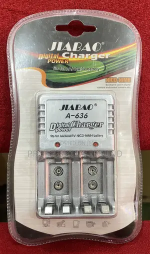 JIABAO Battery Charger
