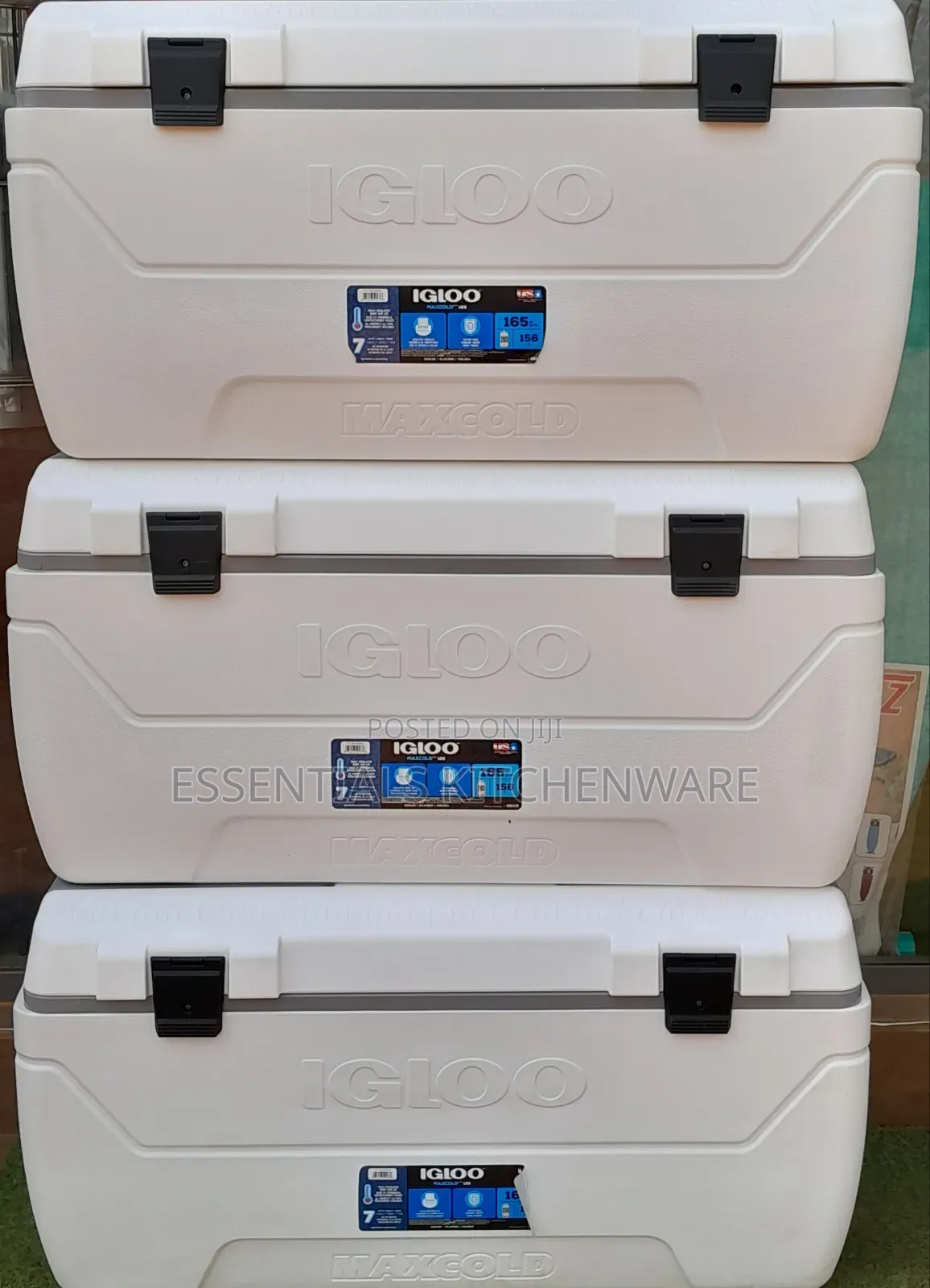 Igloo Ice Chest